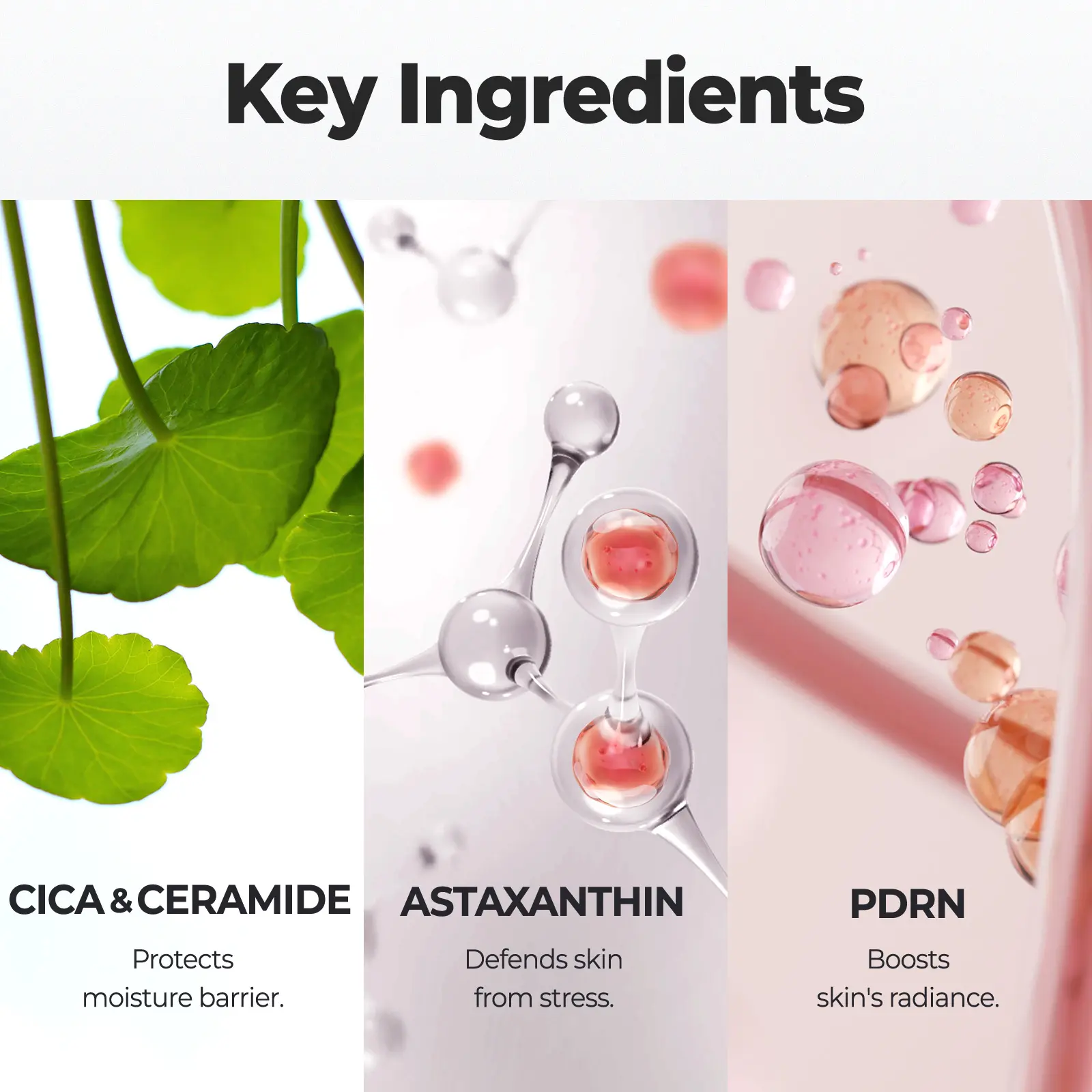 Wrapping CreamㅣMakeup-prepping CreamㅣMaintains applied skincare benefits, boosts hydration