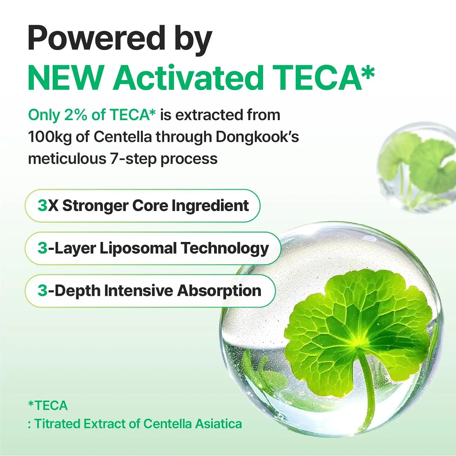 Anti-Aging Moisturizer for Wrinkles & Dry Skin | Cica + Hyaluronic Acid